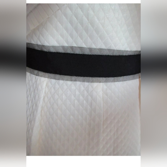 BCBG Cream Dress -Size 8 - Picture 12 of 16